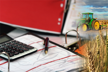 Contabilidade e Fiscalidade na Atividade Agrícola